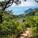 https://www.abyssapexzine.com/2024/06/miyajima/